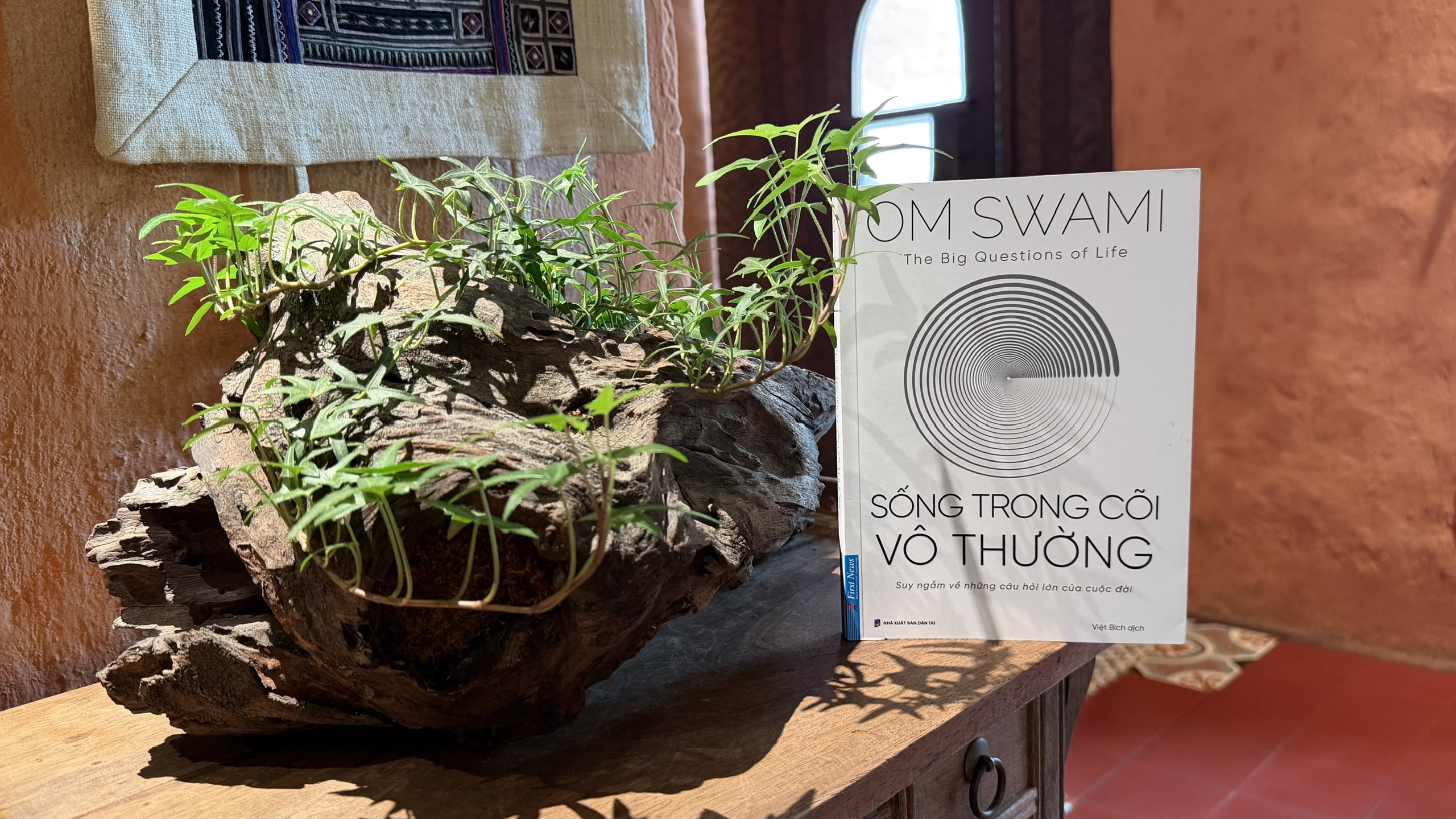 Sống Trong Cõi Vô Thường: Lời Khuyên Từ Om Swami