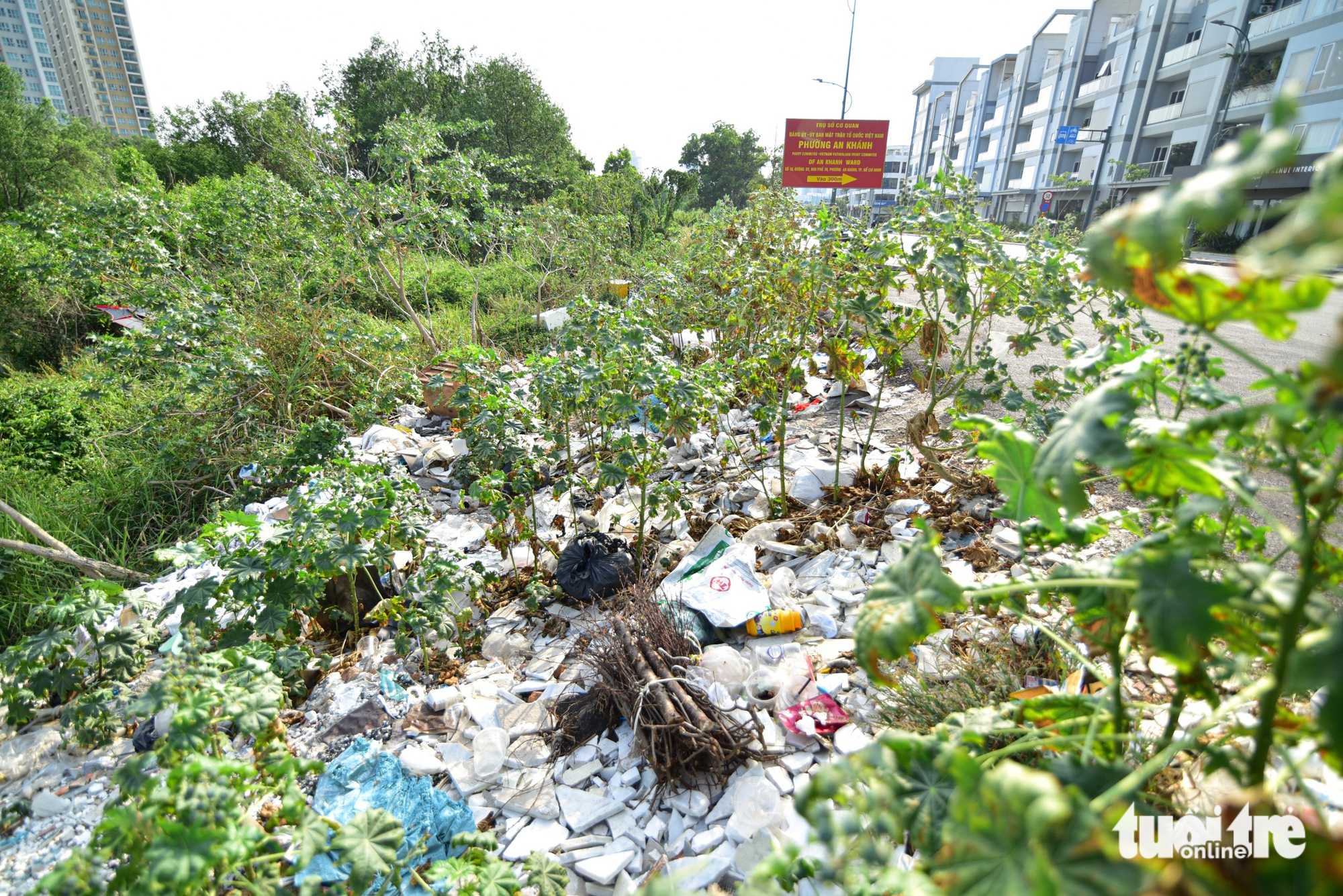 Trash piles persist across Ho Chi Minh City ward despite cleanup efforts - Ảnh 5. Trash piles persist across Ho Chi Minh City ward despite cleanup efforts - Ảnh 5.