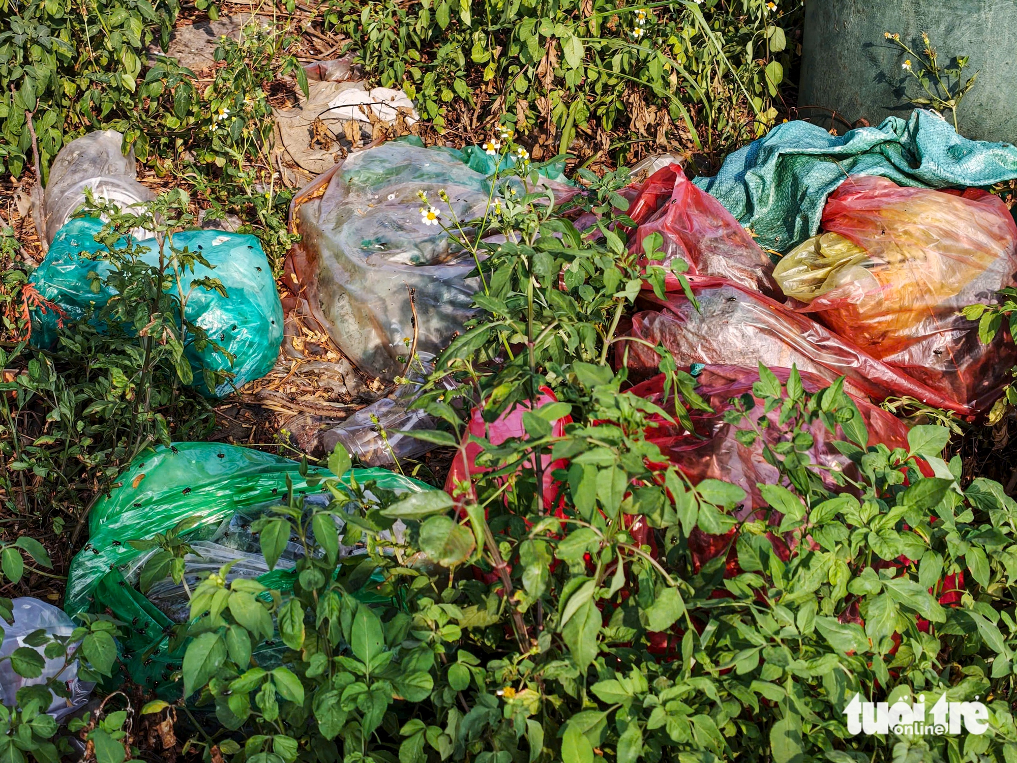 Trash piles persist across Ho Chi Minh City ward despite cleanup efforts - Ảnh 8. Trash piles persist across Ho Chi Minh City ward despite cleanup efforts - Ảnh 8.