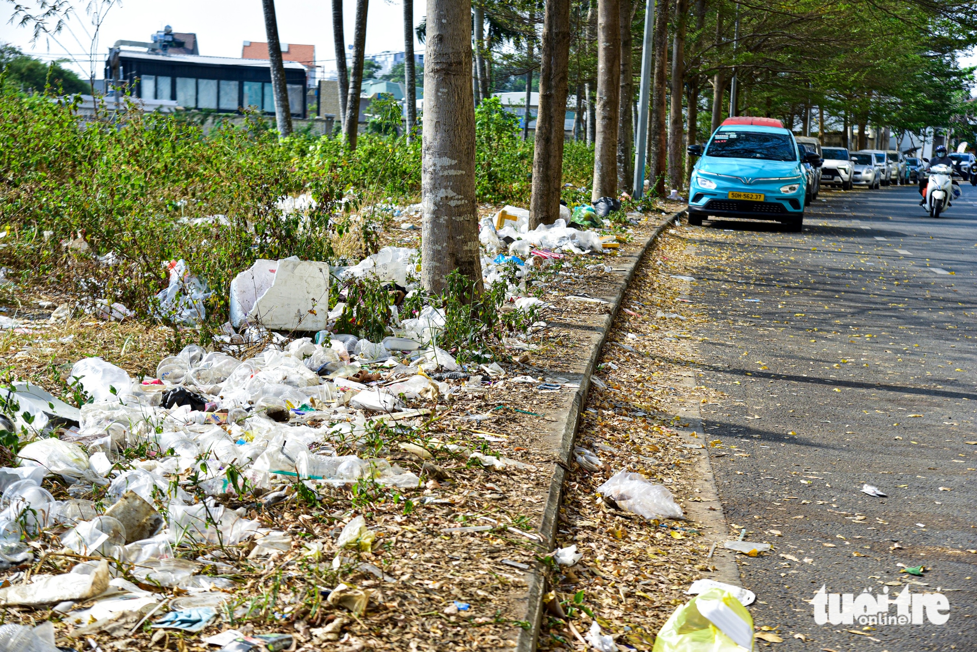 Trash piles persist across Ho Chi Minh City ward despite cleanup efforts - Ảnh 3.