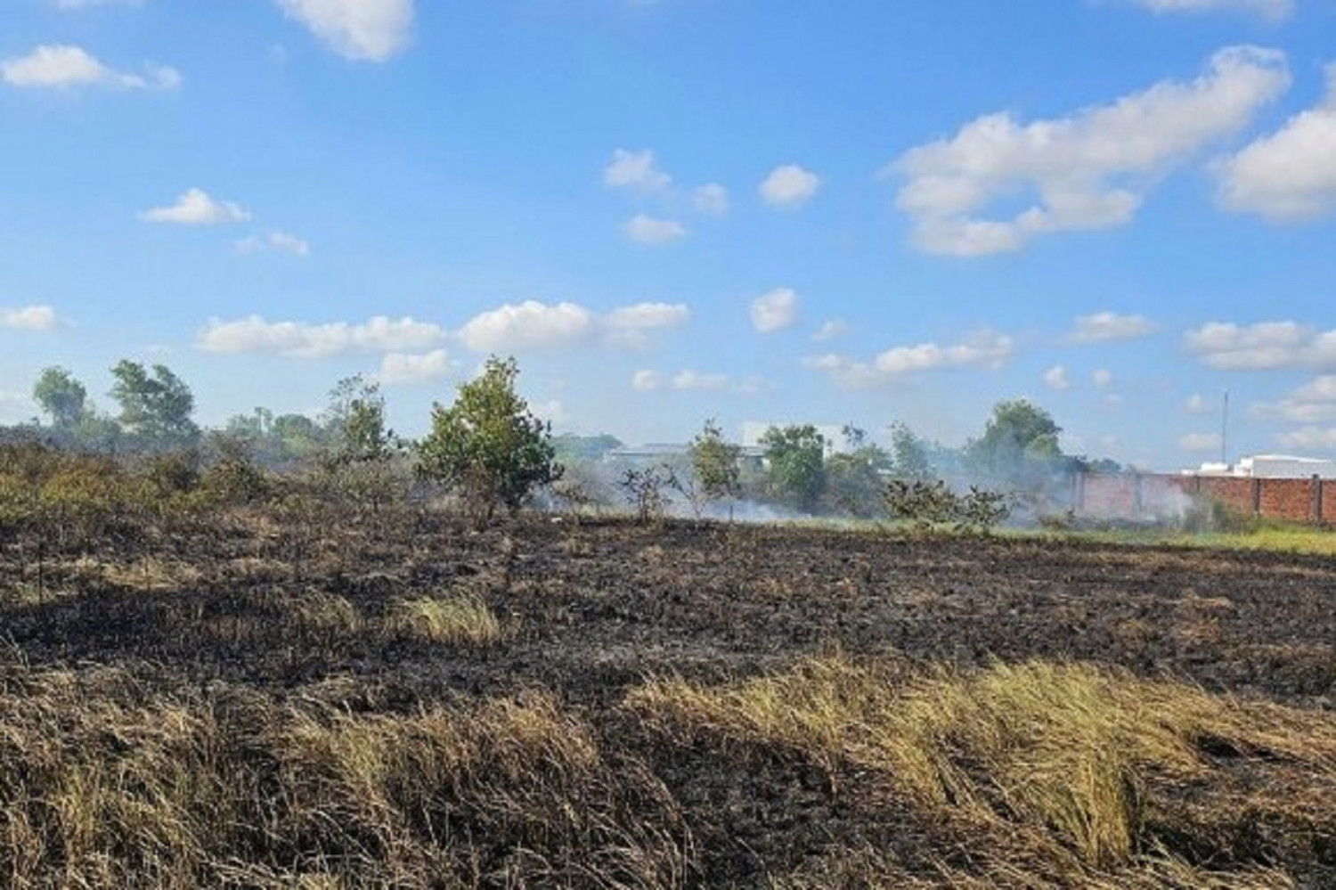 Đi đốt đồng cùng chồng, một phụ nữ ở Cần Thơ tử vong nghi do ngạt khói - Ảnh 1.