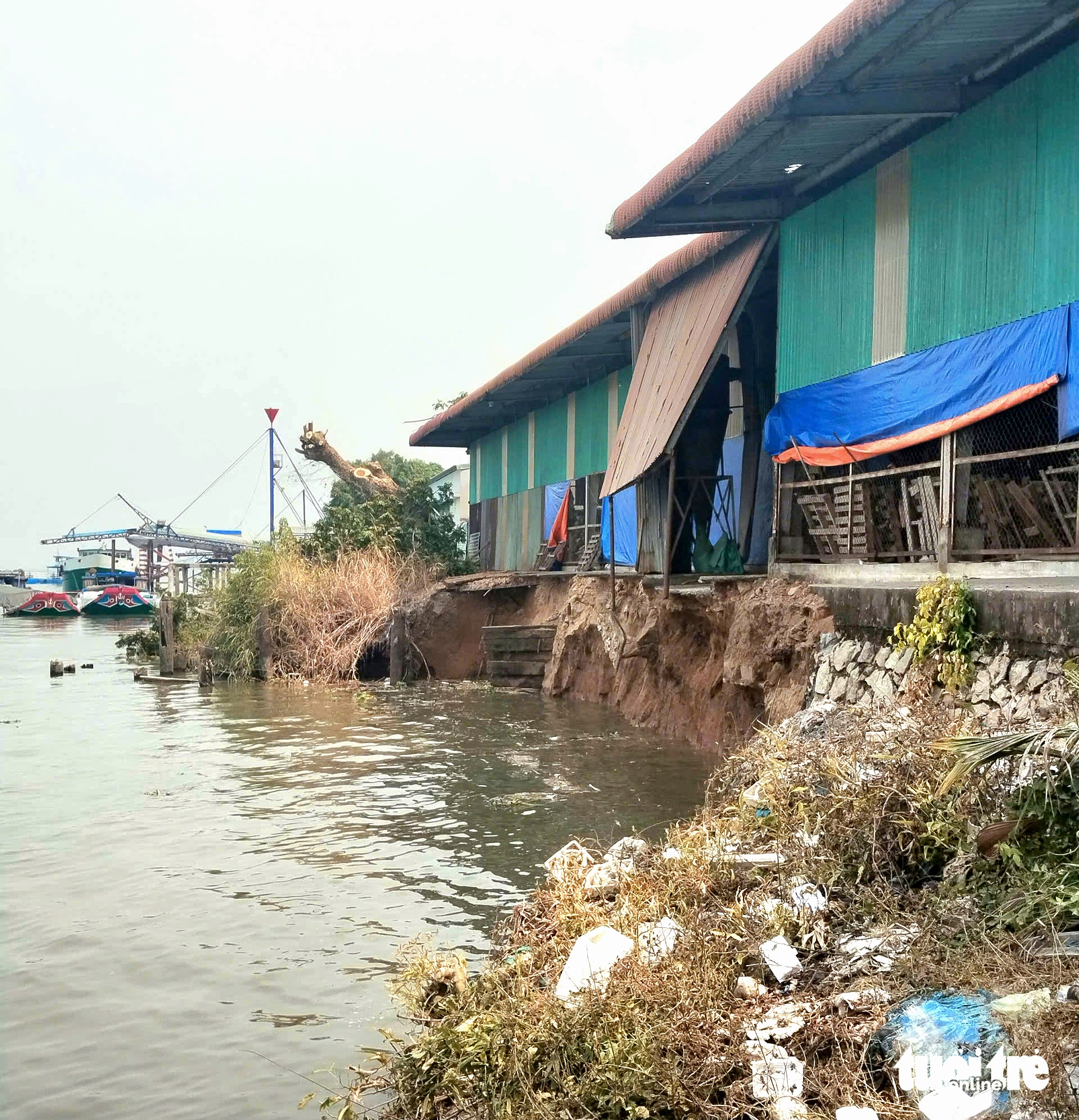 Sạt lở bờ sông Hậu dài 50m, ăn sâu vào bờ 8m, di dời 660 tấn gạo - Ảnh 1.