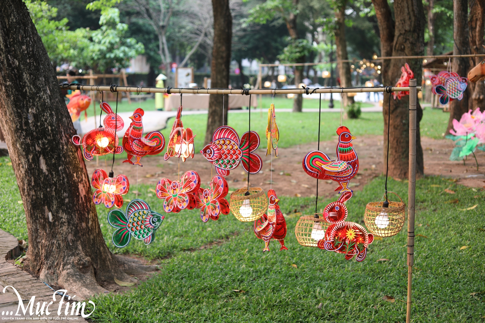 Check-in Vườn ánh sáng đẹp lung linh tại Văn Miếu - Quốc Tử Giám- Ảnh 2. Check-in Vườn ánh sáng đẹp lung linh tại Văn Miếu - Quốc Tử Giám- Ảnh 2.