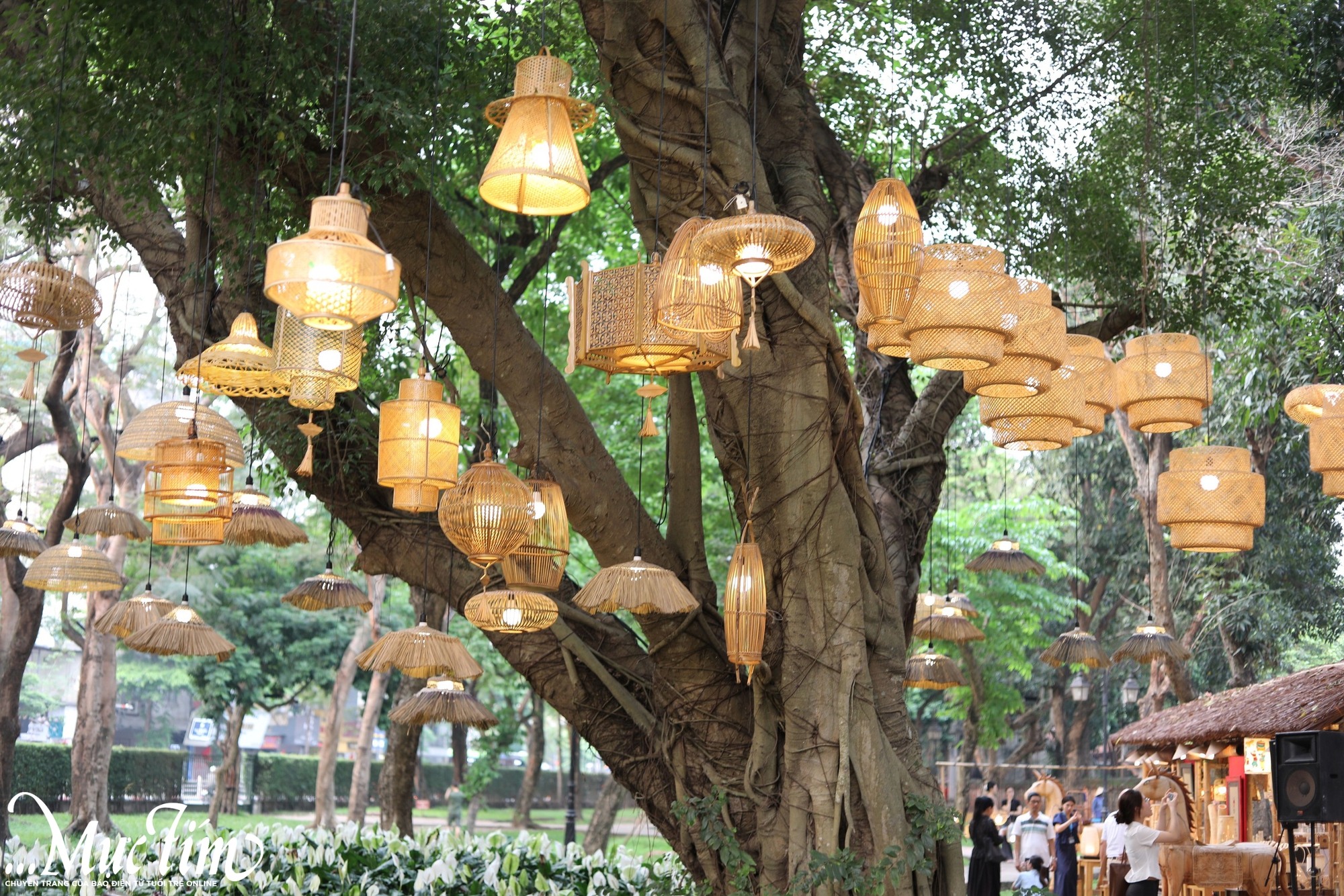 Check-in Vườn ánh sáng đẹp lung linh tại Văn Miếu - Quốc Tử Giám- Ảnh 3. Check-in Vườn ánh sáng đẹp lung linh tại Văn Miếu - Quốc Tử Giám- Ảnh 3.