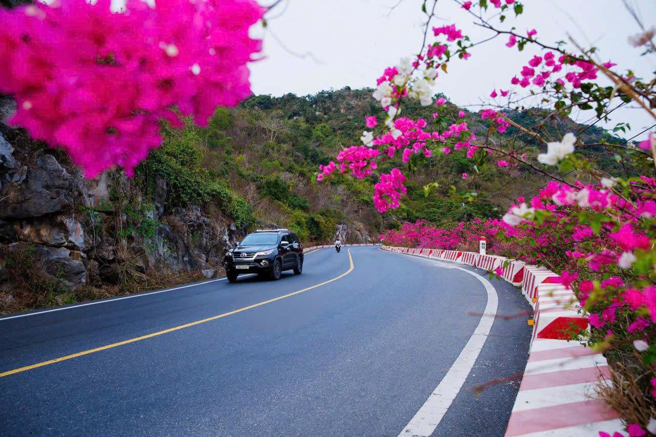 hải phòng - Ảnh 6.