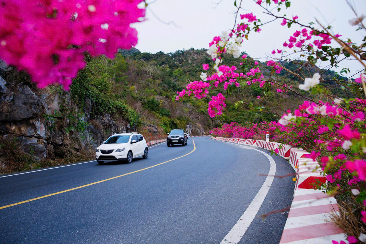 hải phòng - Ảnh 8.