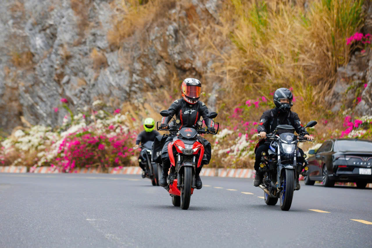 hải phòng - Ảnh 1.