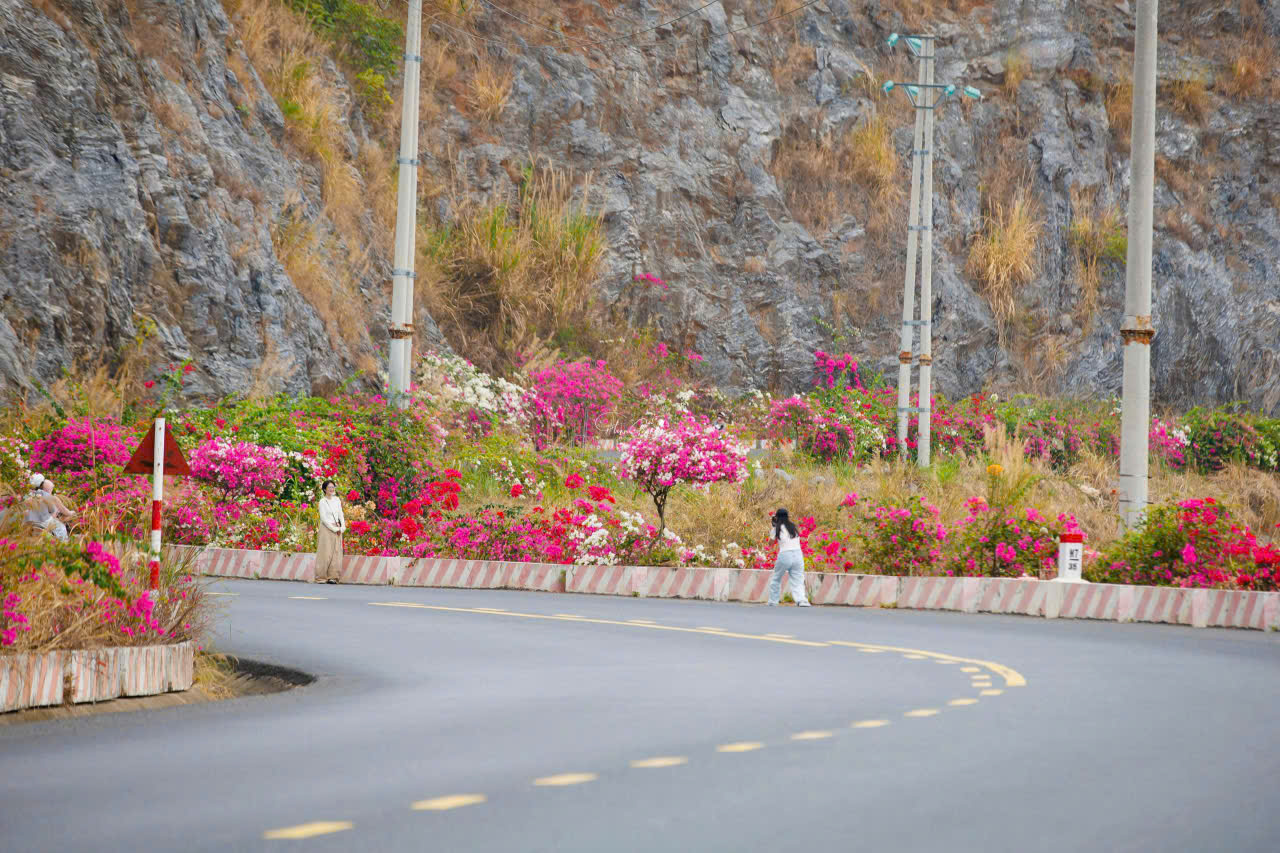 Cung đường Cát Bà đẹp như mơ - Ảnh 7.