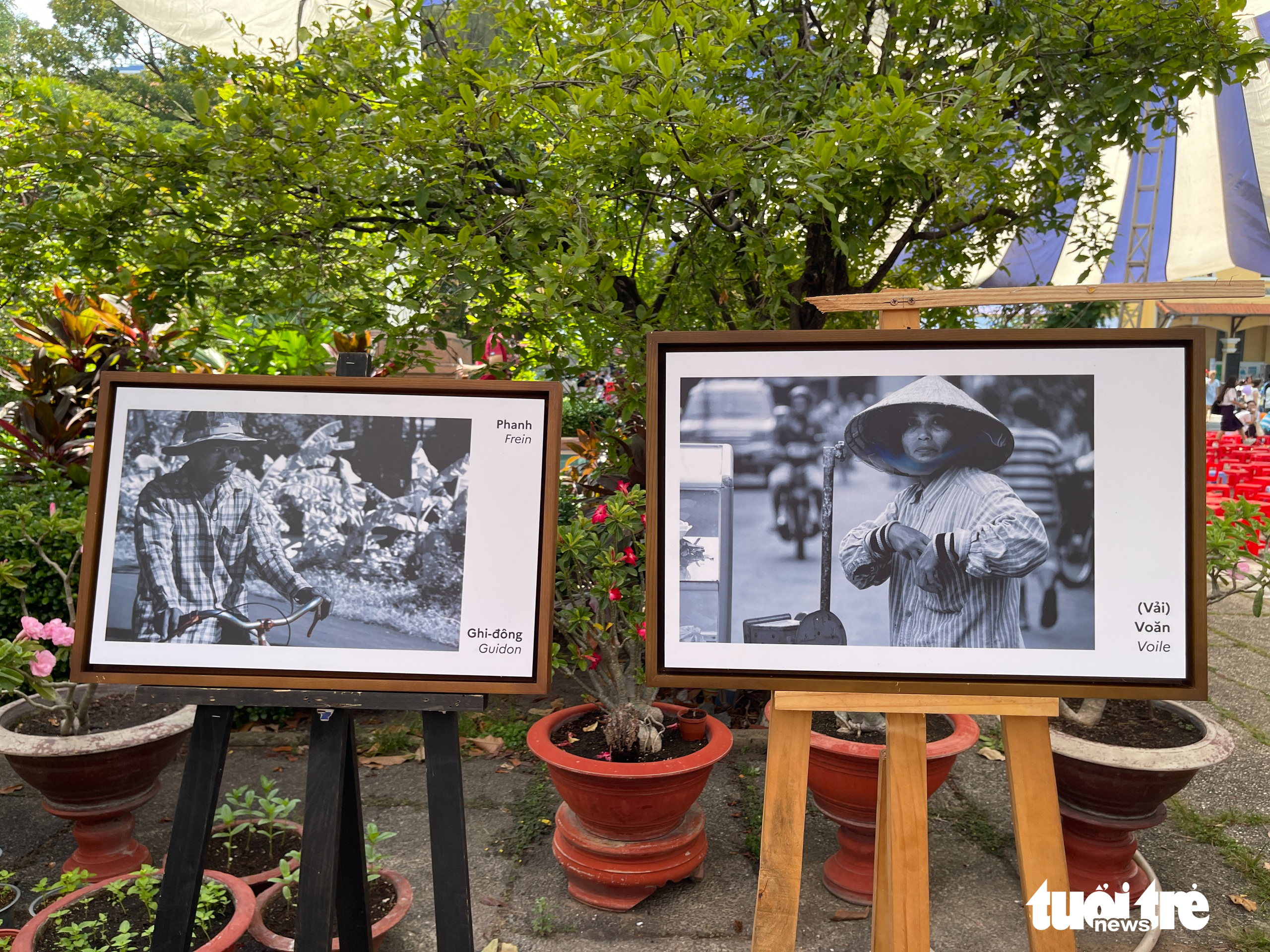 Francophone Day in Ho Chi Minh City promotes French as bridge for cultures, careers- Ảnh 7. Francophone Day in Ho Chi Minh City promotes French as bridge for cultures, careers- Ảnh 7.