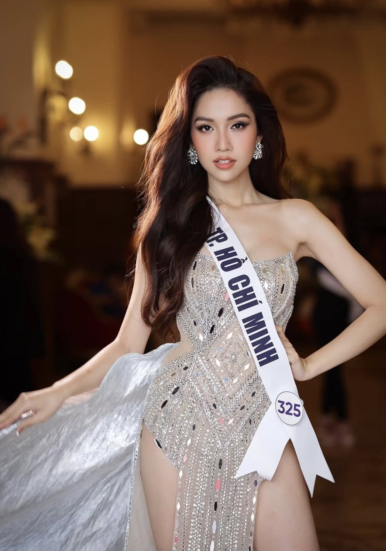 Sau Hương Giang, thêm một người đẹp Việt nộp hồ sơ thi Miss Grand International All Stars - Ảnh 4.