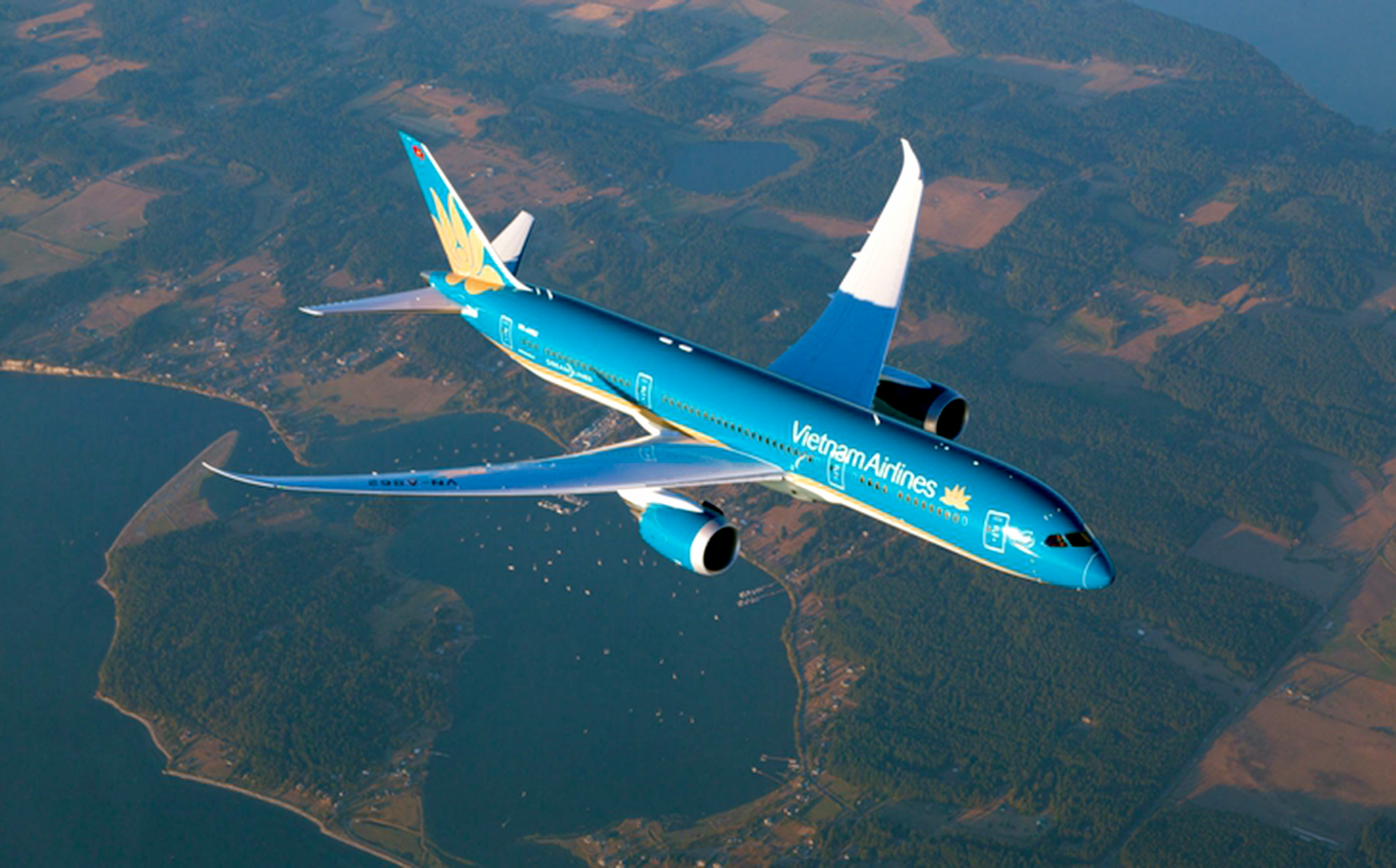 Vietnam Airlines - Ảnh 1.