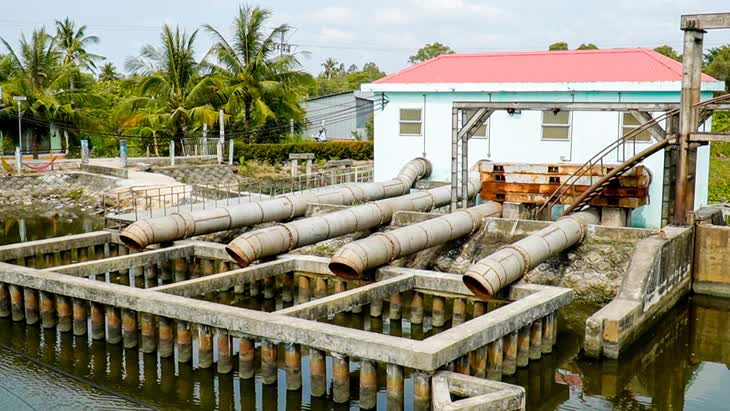 hạn mặn - Ảnh 1.