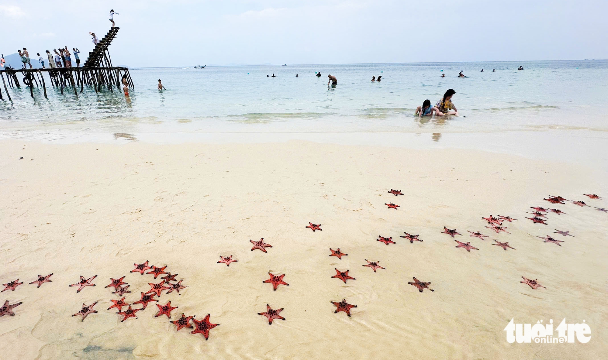 Phú Quốc - Ảnh 4.