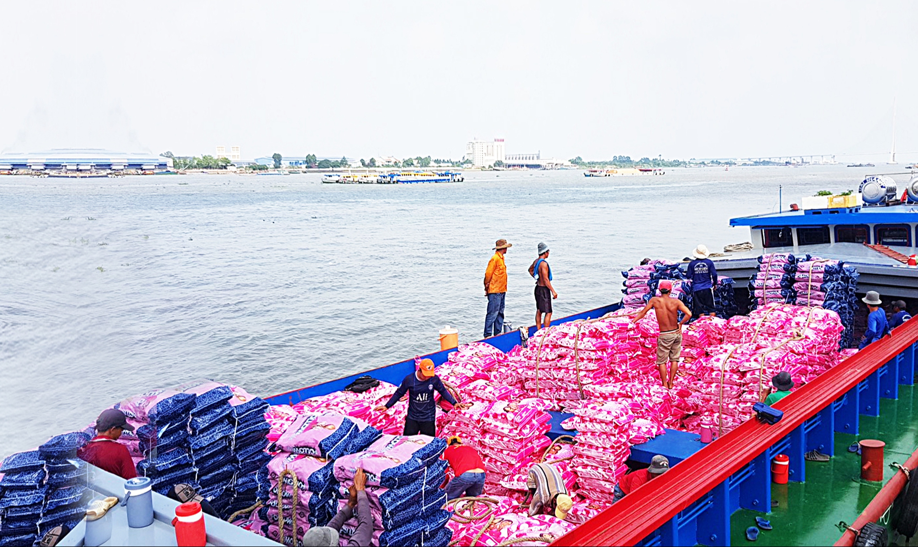 thuế suất 0% - Ảnh 1.