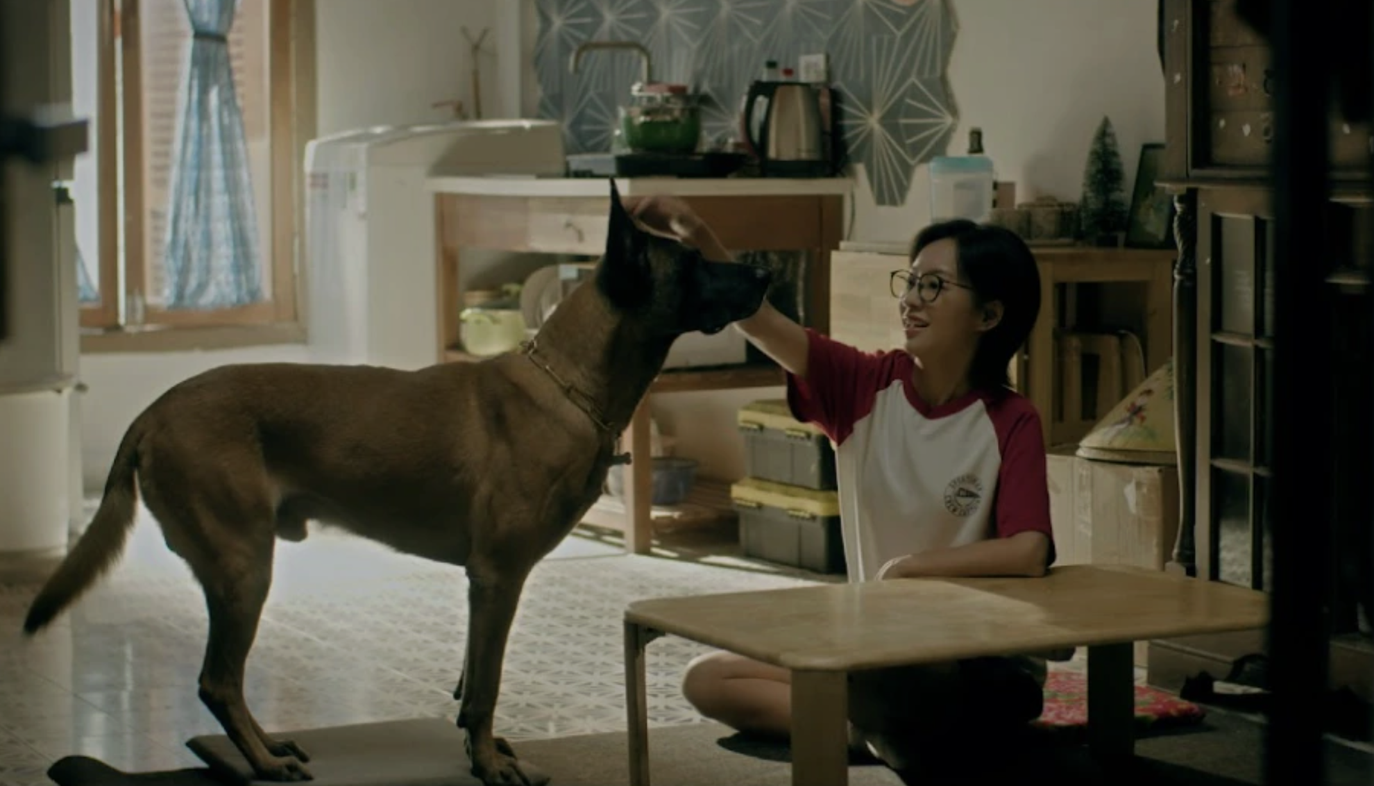 phim truyền hình - Ảnh 6.