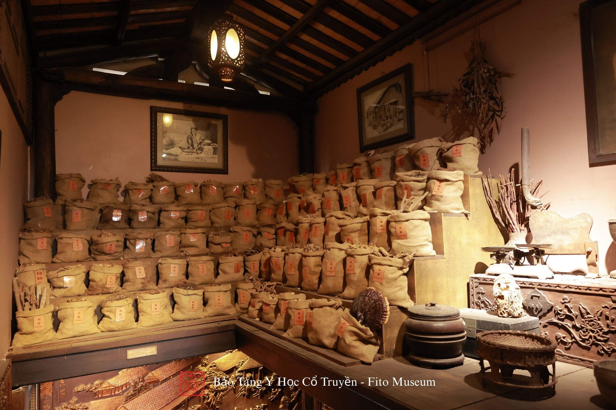 Unexpected and engaging: Lesser-known museums worth a visit in Ho Chi Minh City - Ảnh 3.