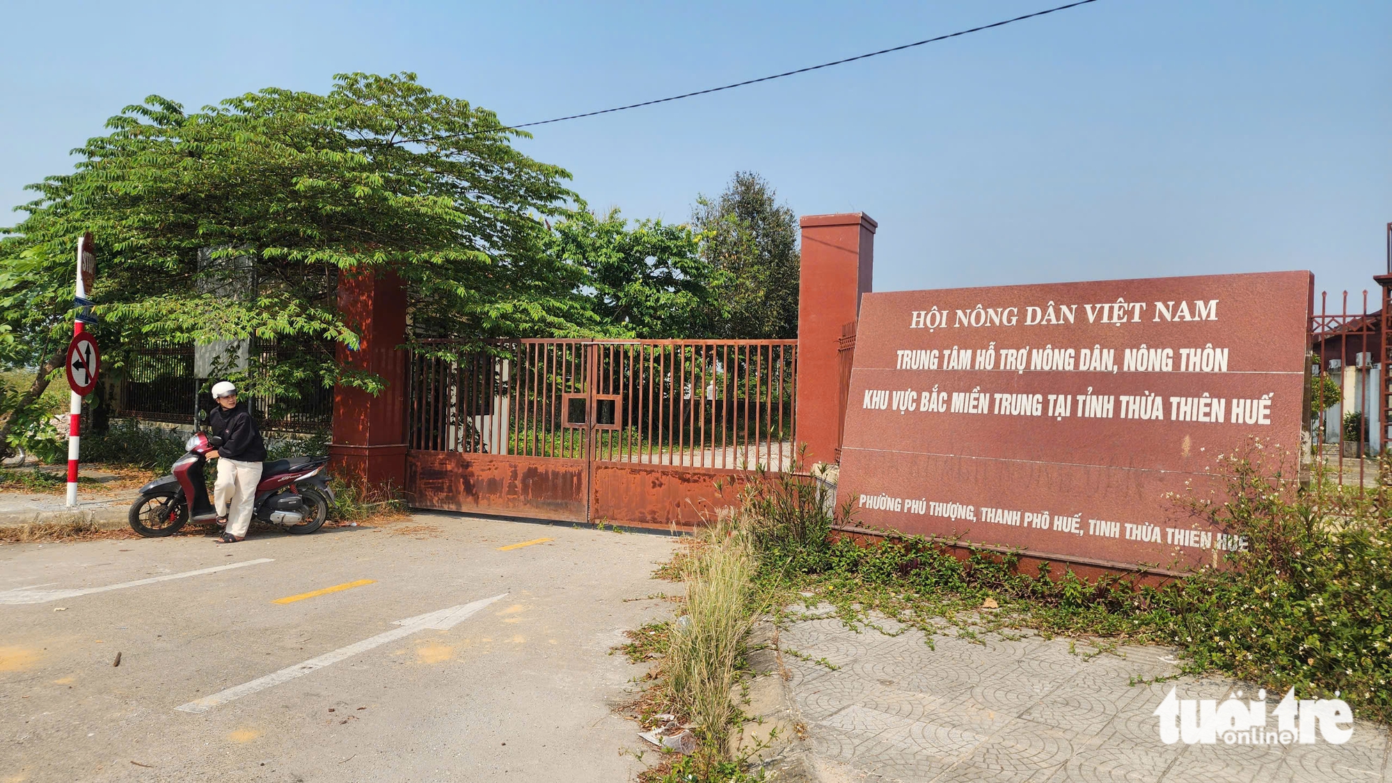 hoang phế - Ảnh 1.