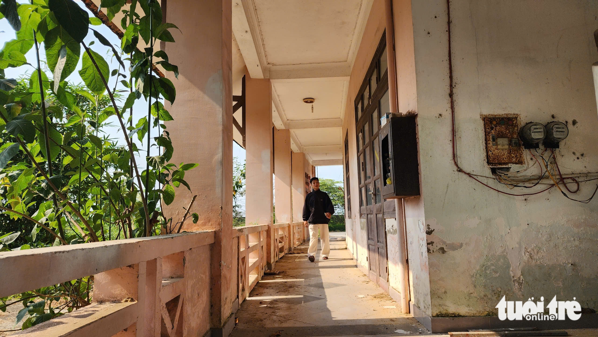 hoang phế - Ảnh 3.