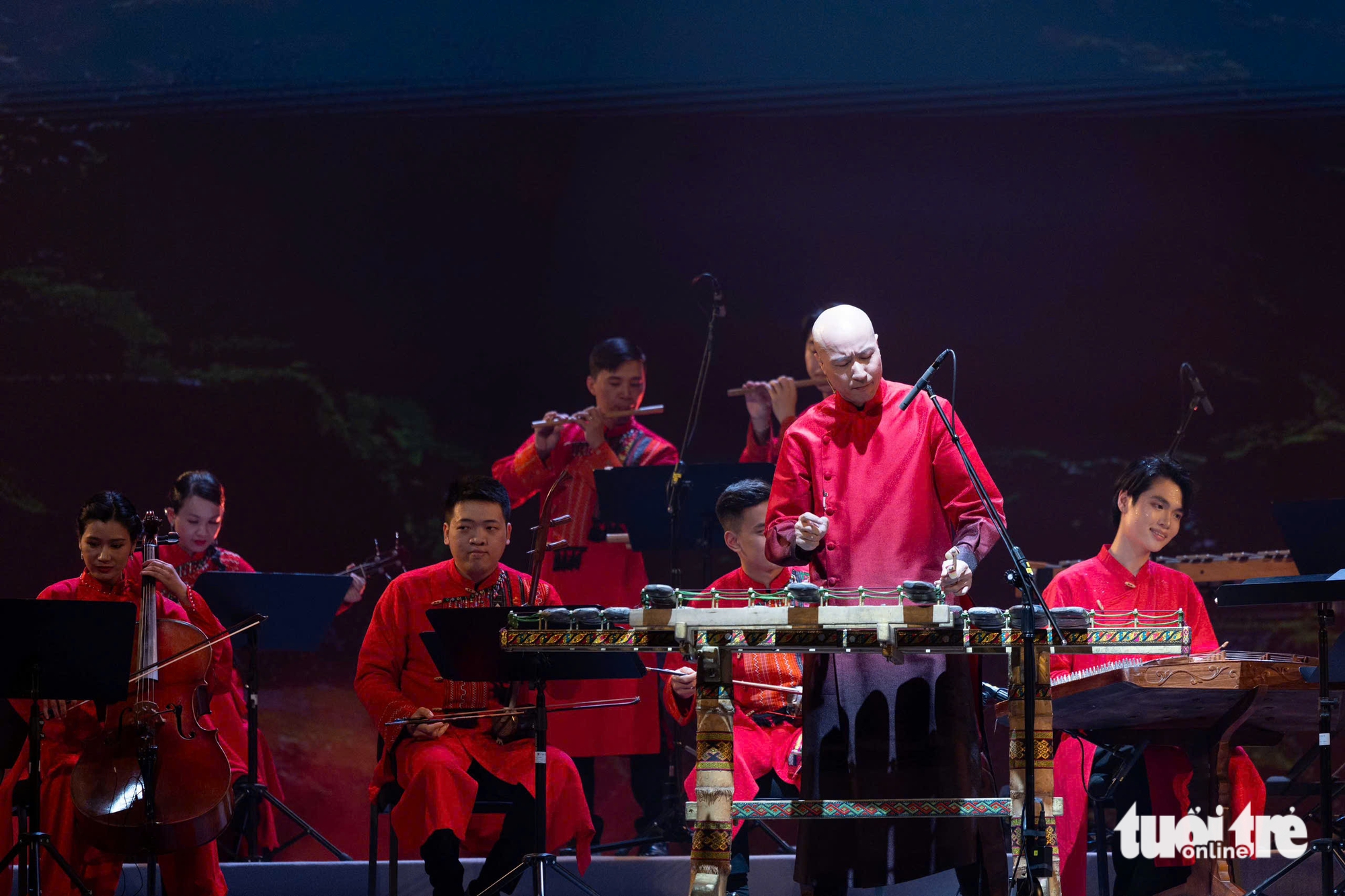 Việt Nam - Ảnh 4.