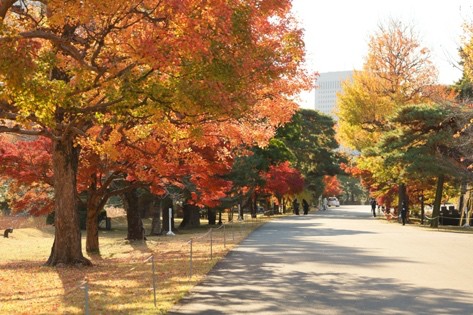 Rising interest in Japan's traditional culture and the four seasons - Ảnh 4.