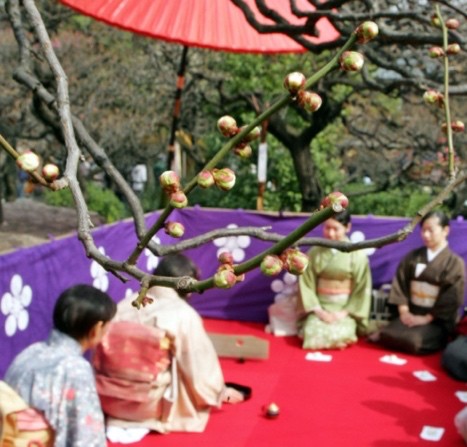 Rising interest in Japan's traditional culture and the four seasons - Ảnh 2.