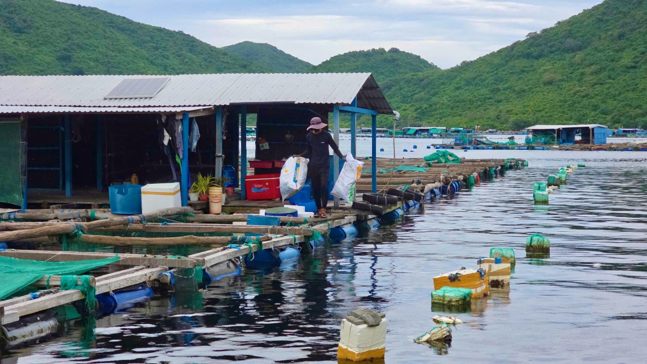 vịnh Vũng Rô - Ảnh 1.