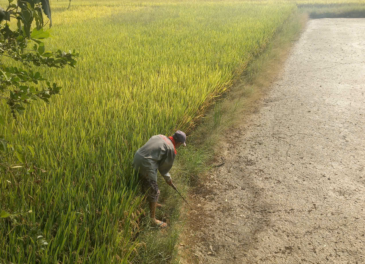 Đà Nẵng - Ảnh 2.