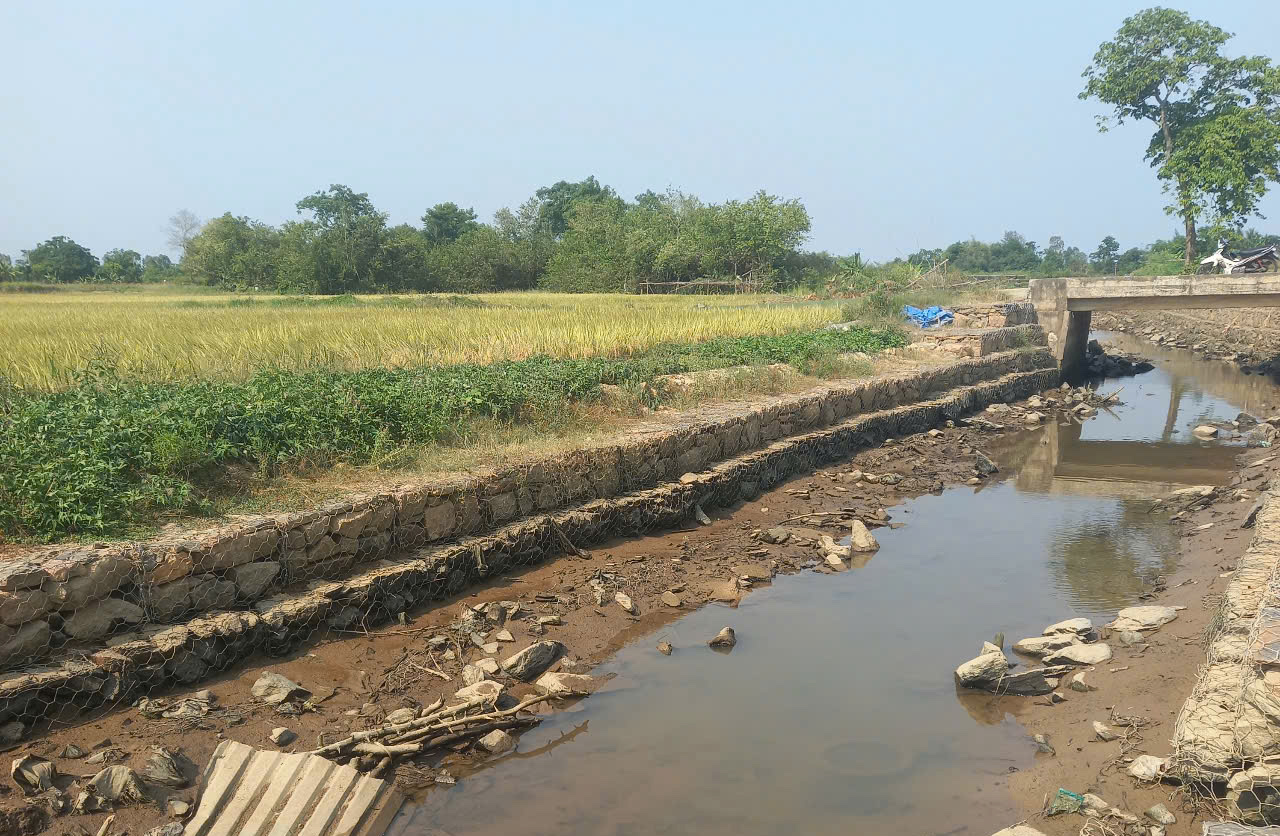 Mặn xâm nhập sâu ở Đà Nẵng, phải bơm lách mặn cứu lúa - Ảnh 1.