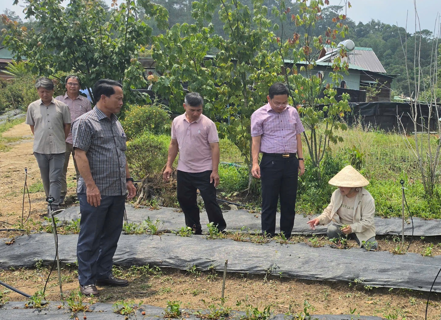 mưa đá - Ảnh 2.