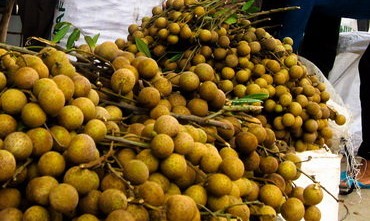 Đầu bếp Thái Ngọc Tâm giới thiệu món thạch hoa cúc long nhãn và kem đá bào Granita kiểu Ý