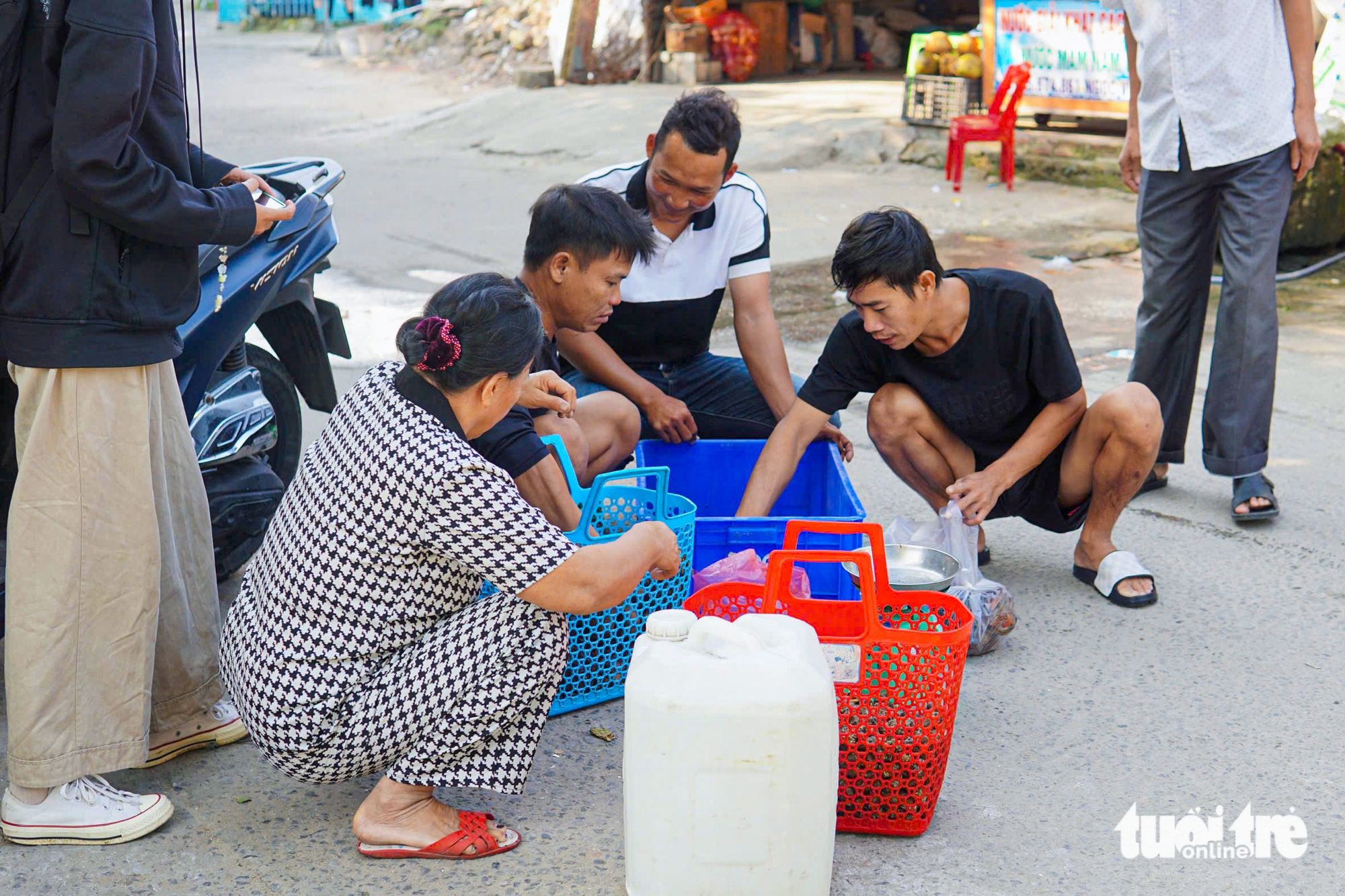 Về làng chài cổ Nam Ô mùa đẹp nhất: Ngắm bãi rêu xanh, săn cua cù kỳ - Ảnh 4.
