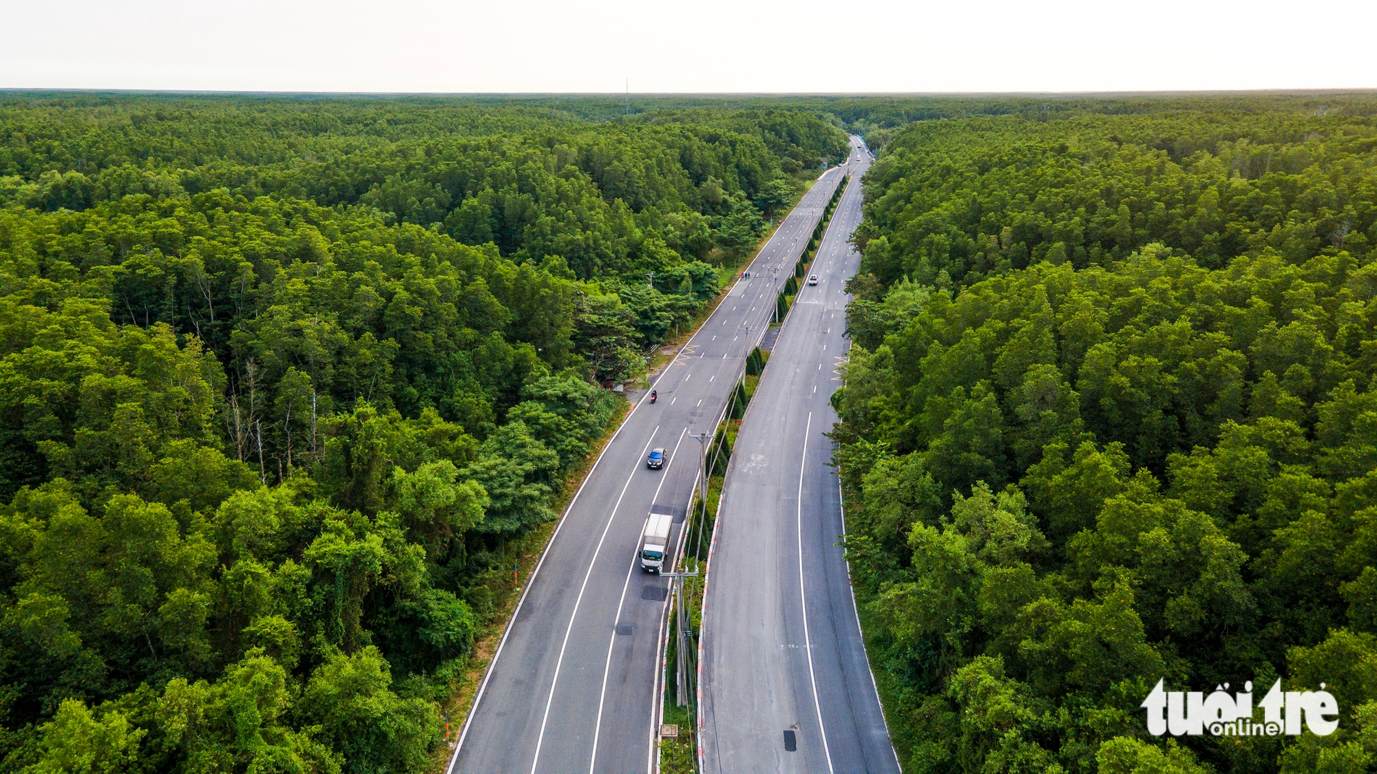 Đường Rừng Sác - Ảnh 1.