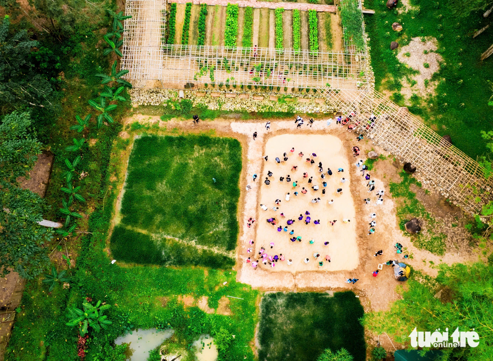 Học sinh học làm nông, bắt cá tại 'lớp học' giữa rừng Yang Bay - Ảnh 1.