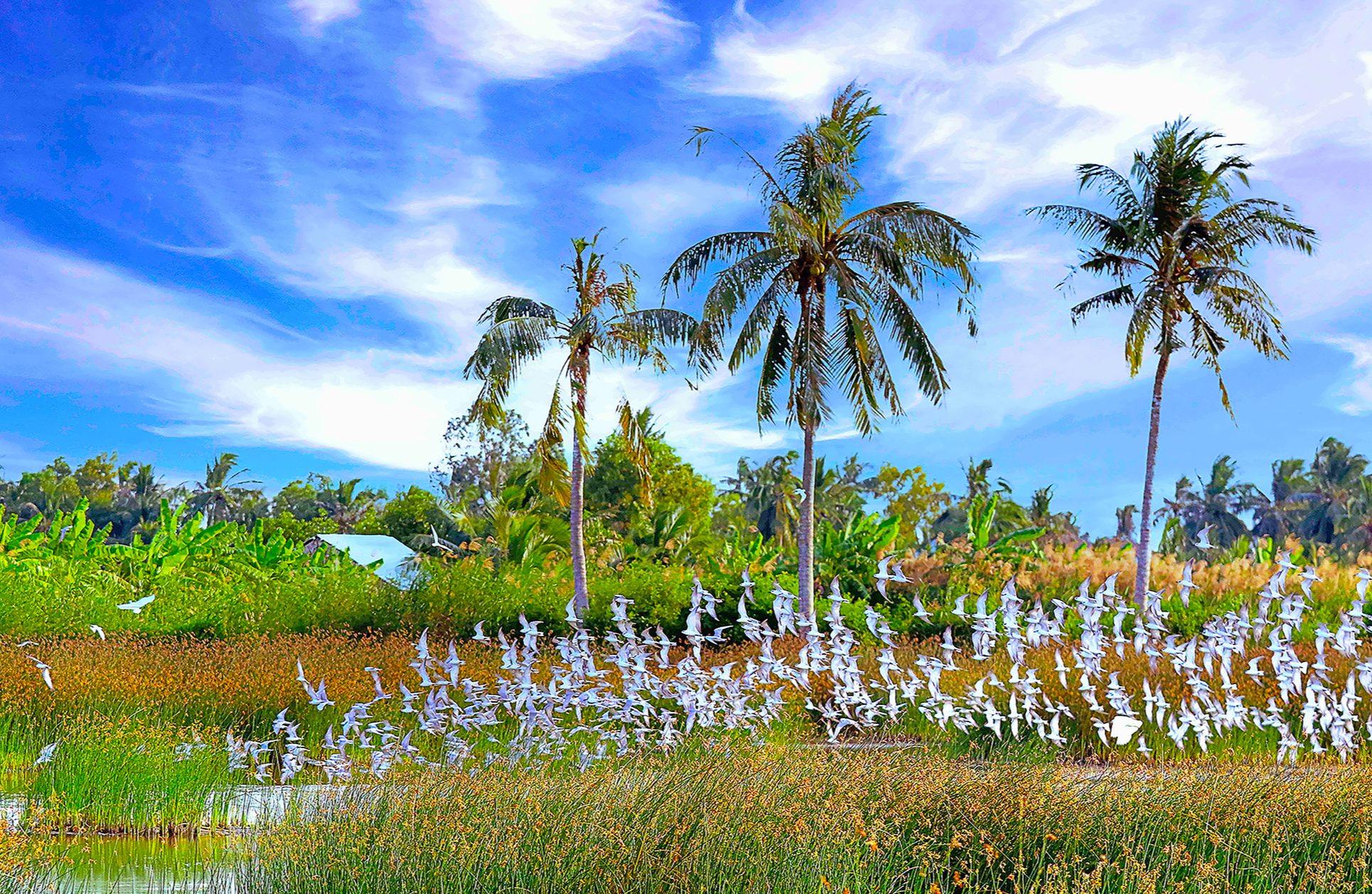 biến đổi khí hậu - Ảnh 2.