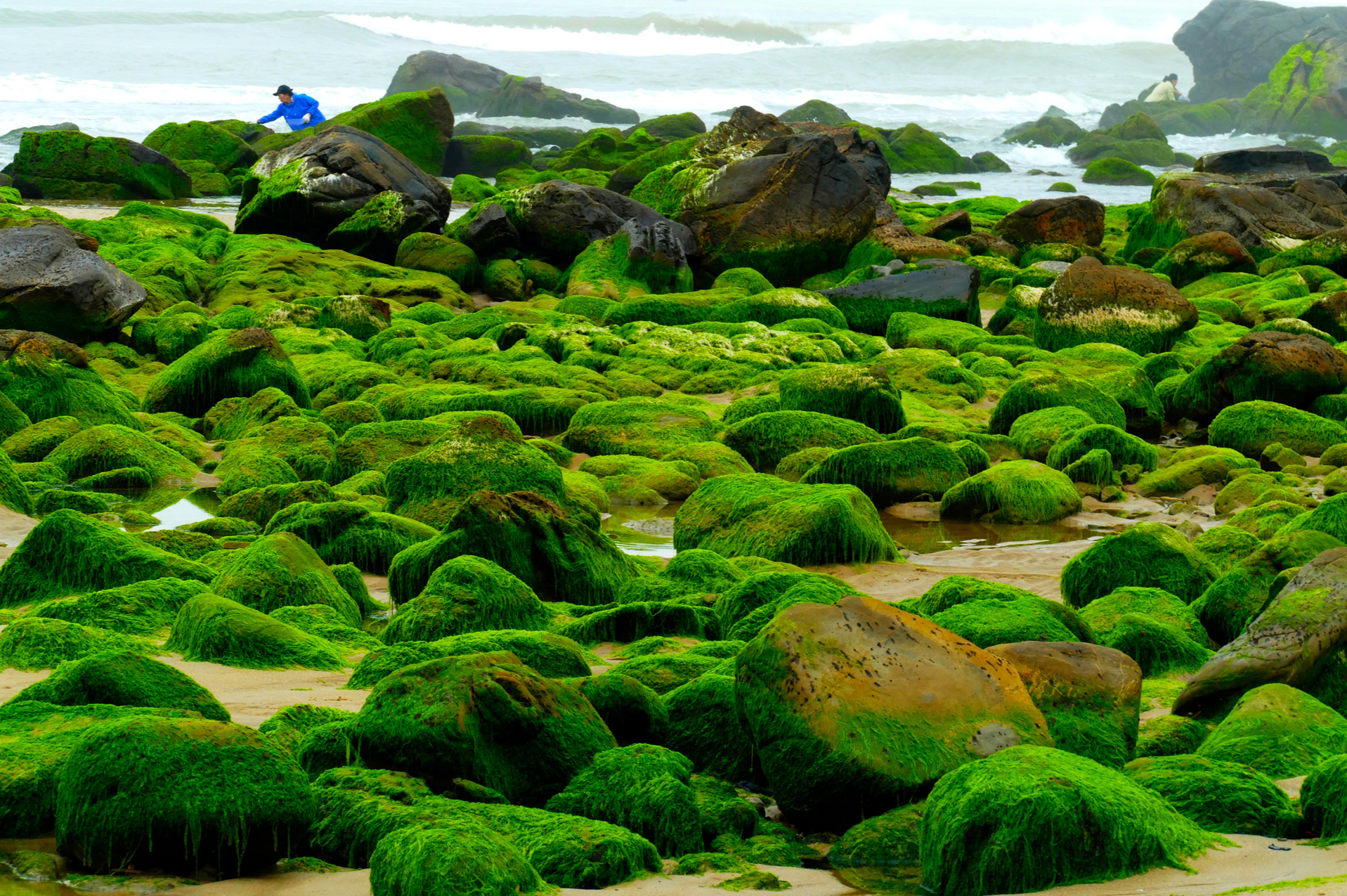 biến đổi khí hậu - Ảnh 5.