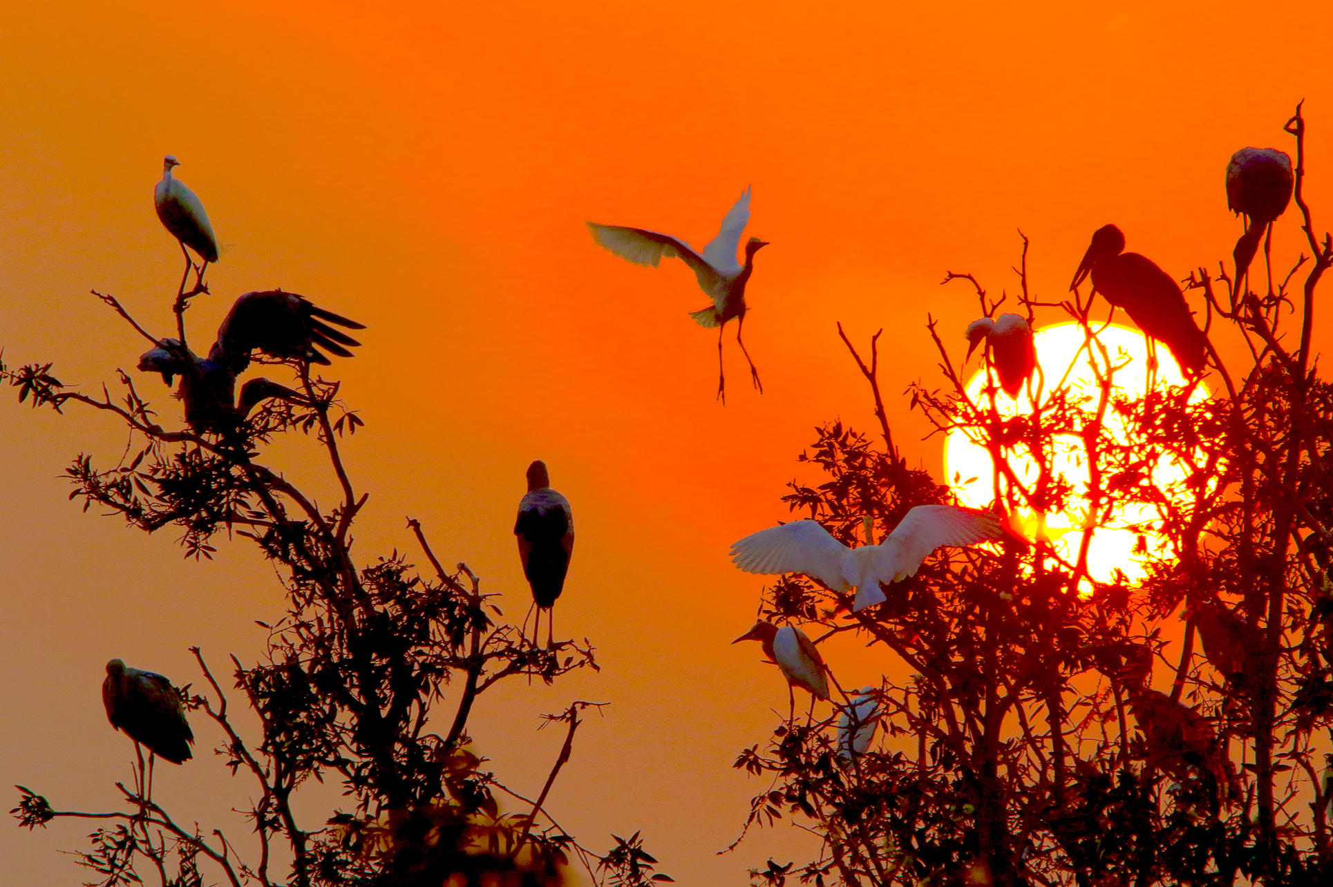 biến đổi khí hậu - Ảnh 7.