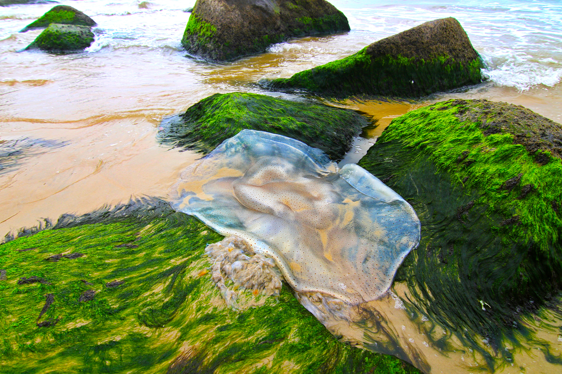 biến đổi khí hậu - Ảnh 9.