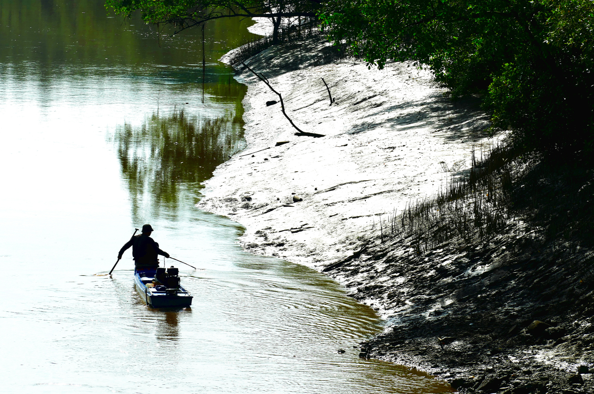 biến đổi khí hậu - Ảnh 15.