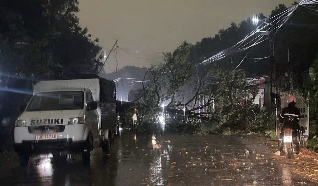 Mưa Dông Gây Thiệt Hại Khiến Cây Đổ và Nhà Vượt Mái ở Bắc Bộ