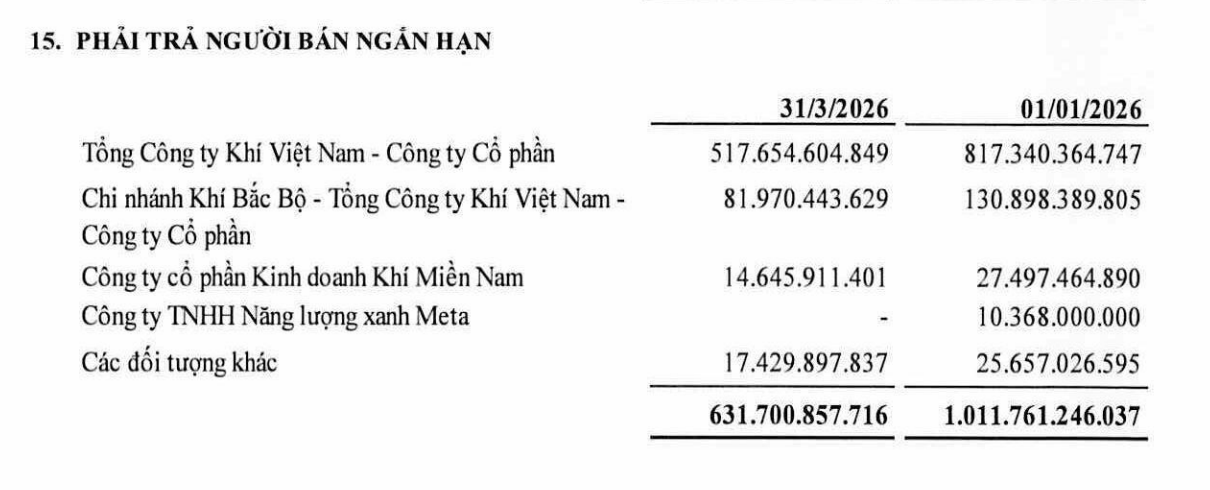 PV GAS D - Ảnh 2.