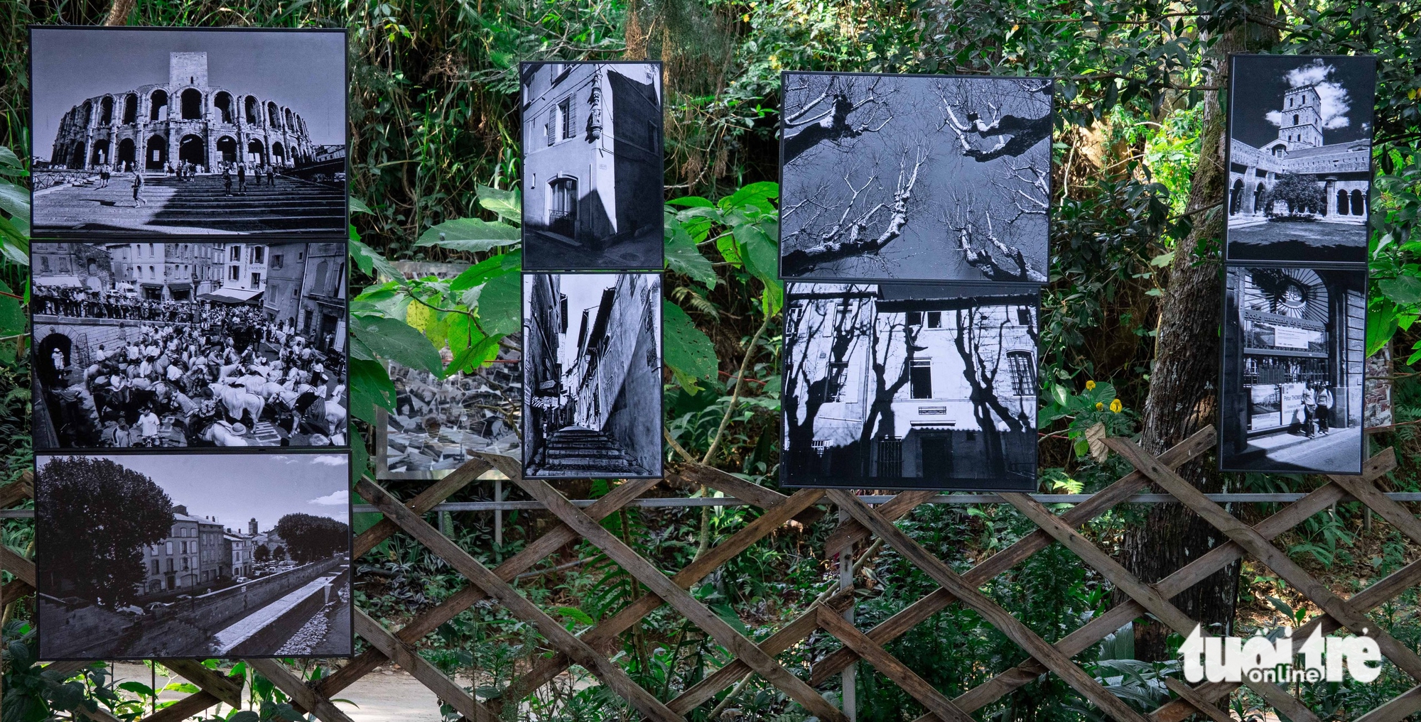 Hanoi Biennale đến Đà Lạt trong triển lãm 'Ký ức các thành phố' - Ảnh 1.