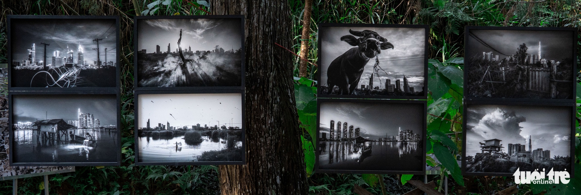 Hanoi Biennale đến Đà Lạt trong triển lãm 'Ký ức các thành phố' - Ảnh 4.