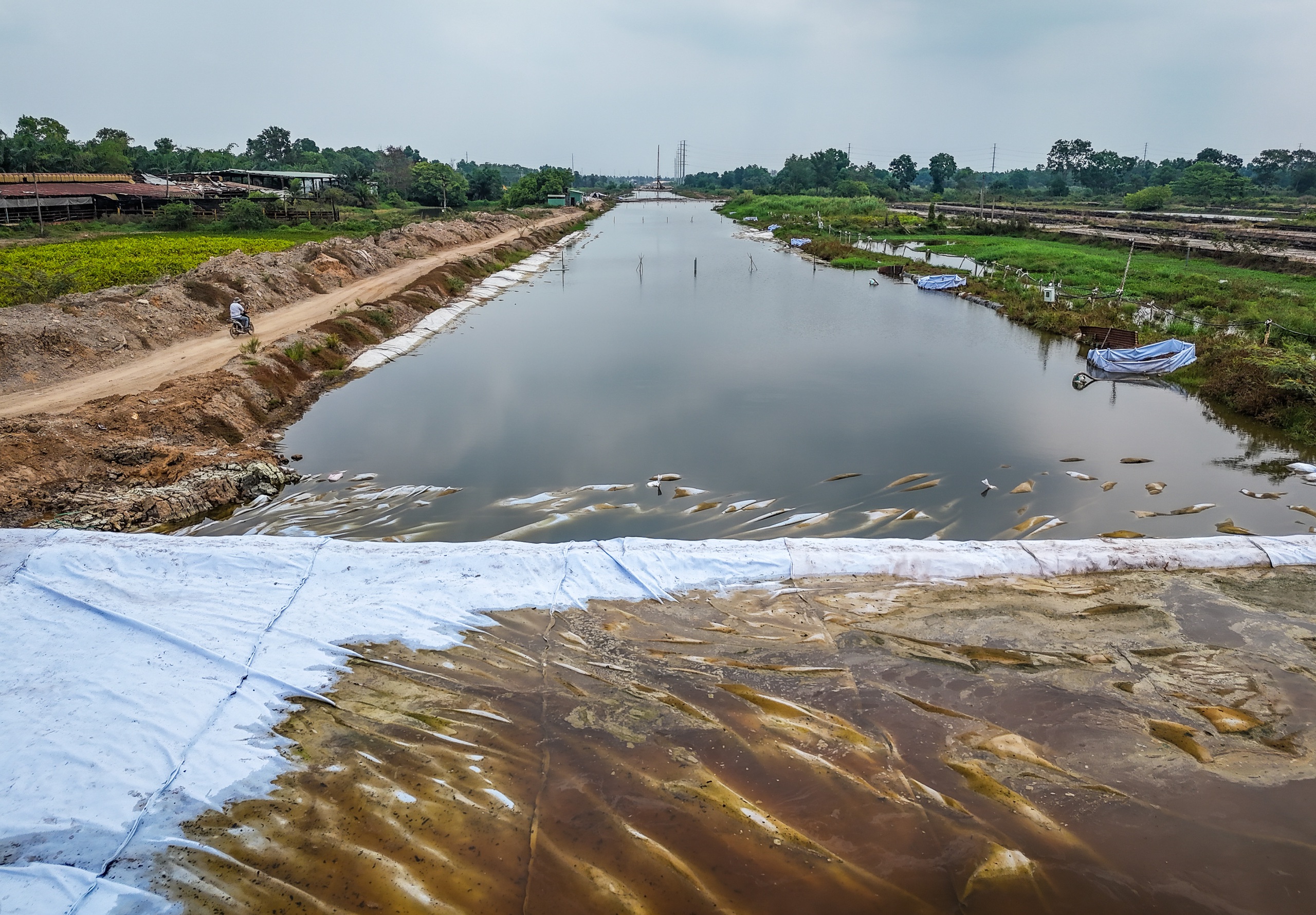 vành đai 3 - Ảnh 6.