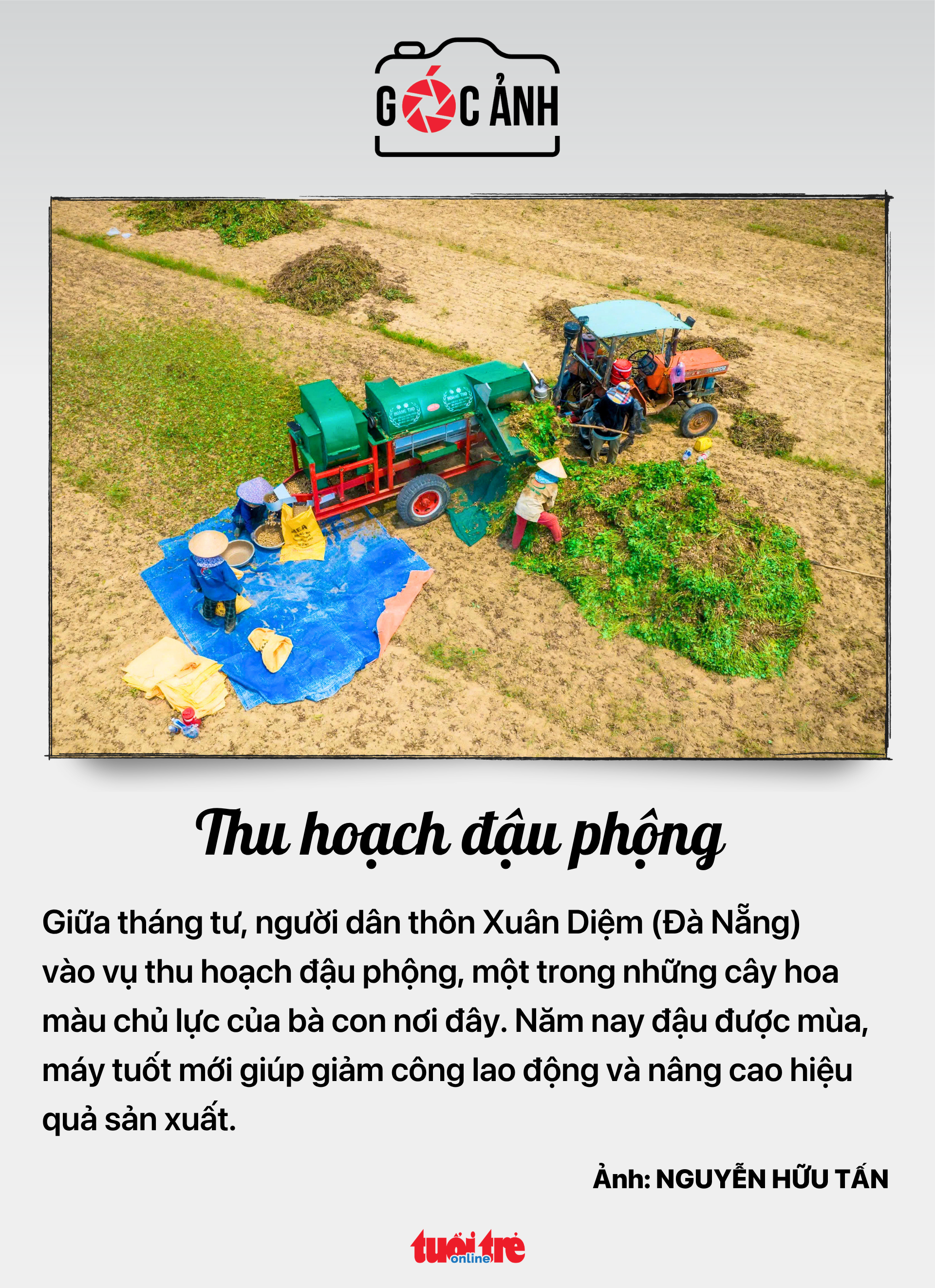 tin tức - Ảnh 6.