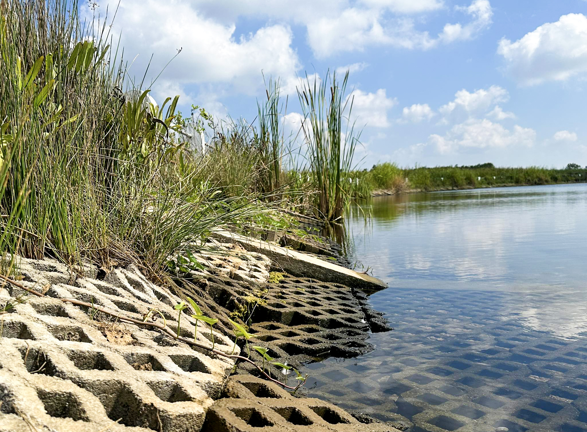 Hồ nước ngọt lớn nhất miền Tây 250 tỉ đồng: Xây xong 2 năm vẫn ‘trùm mền’ chờ nhà máy - Ảnh 1.