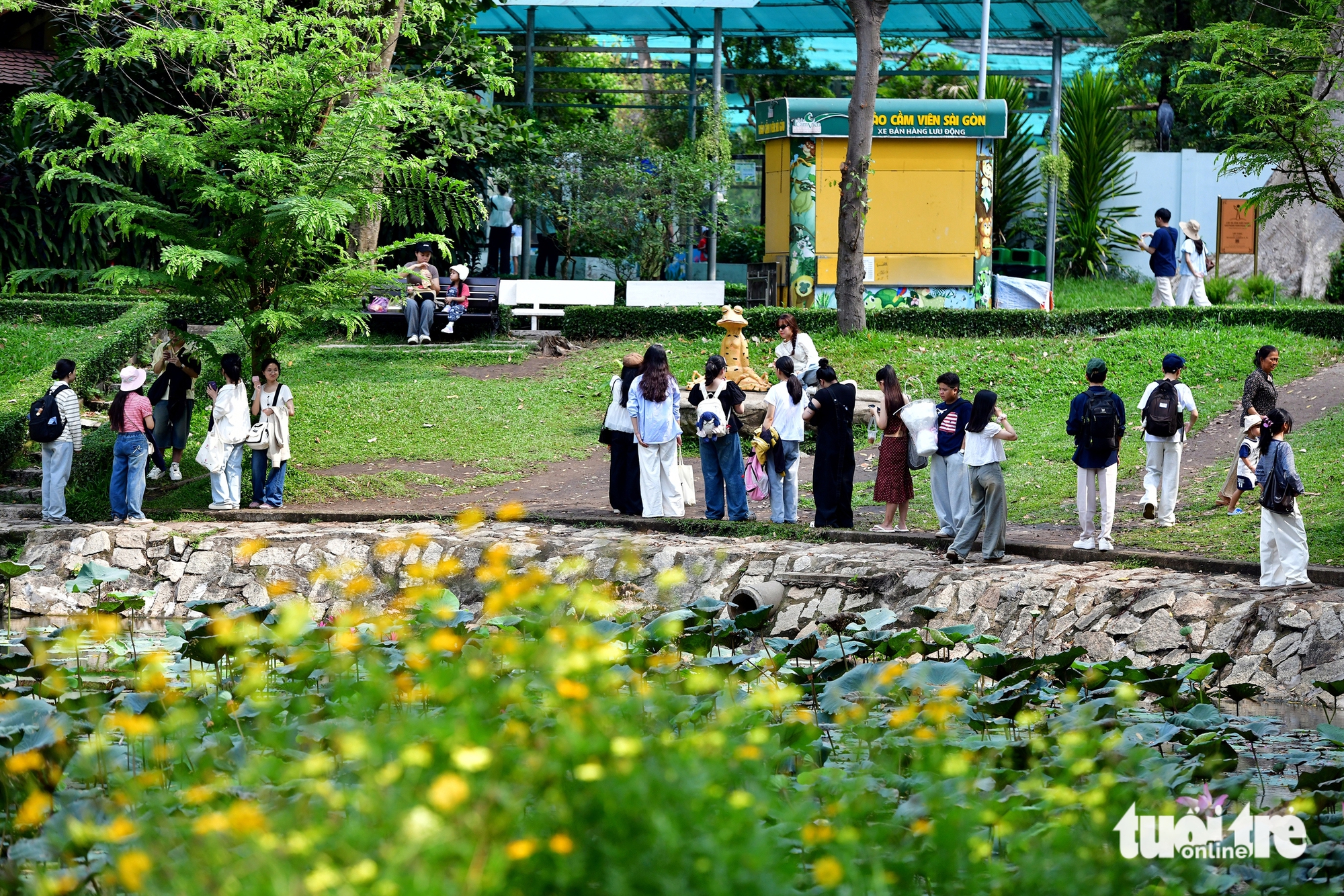 Sơn Tùng M-TP - Ảnh 3.