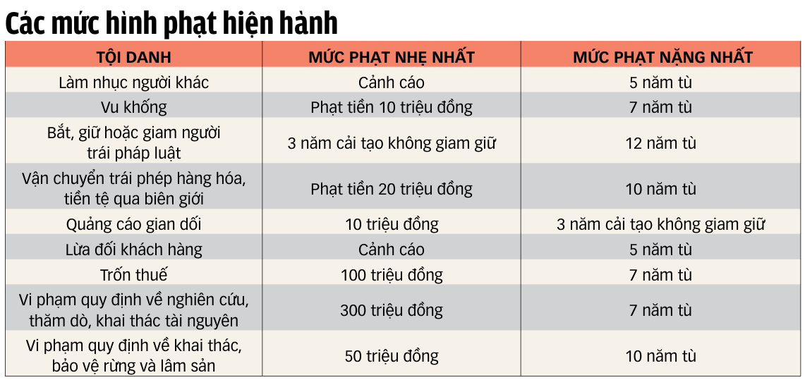vu khống - Ảnh 2.