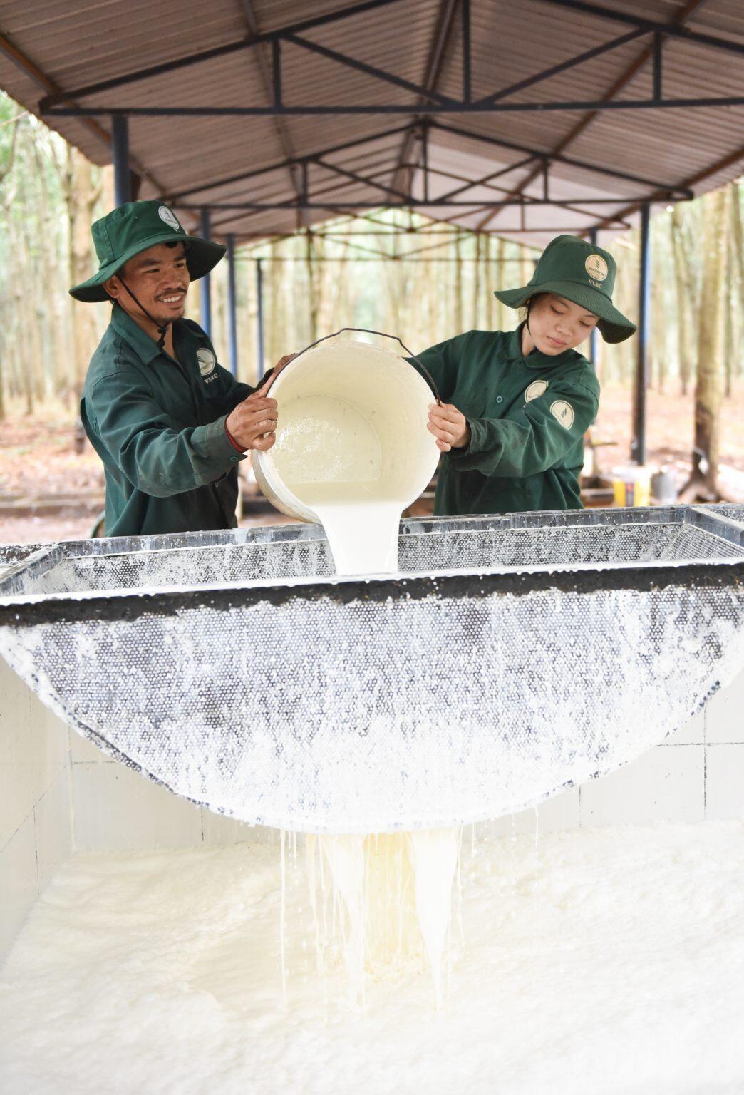 Các công ty của VRG tại Lào góp phần phát triển địa phương - Ảnh 6.