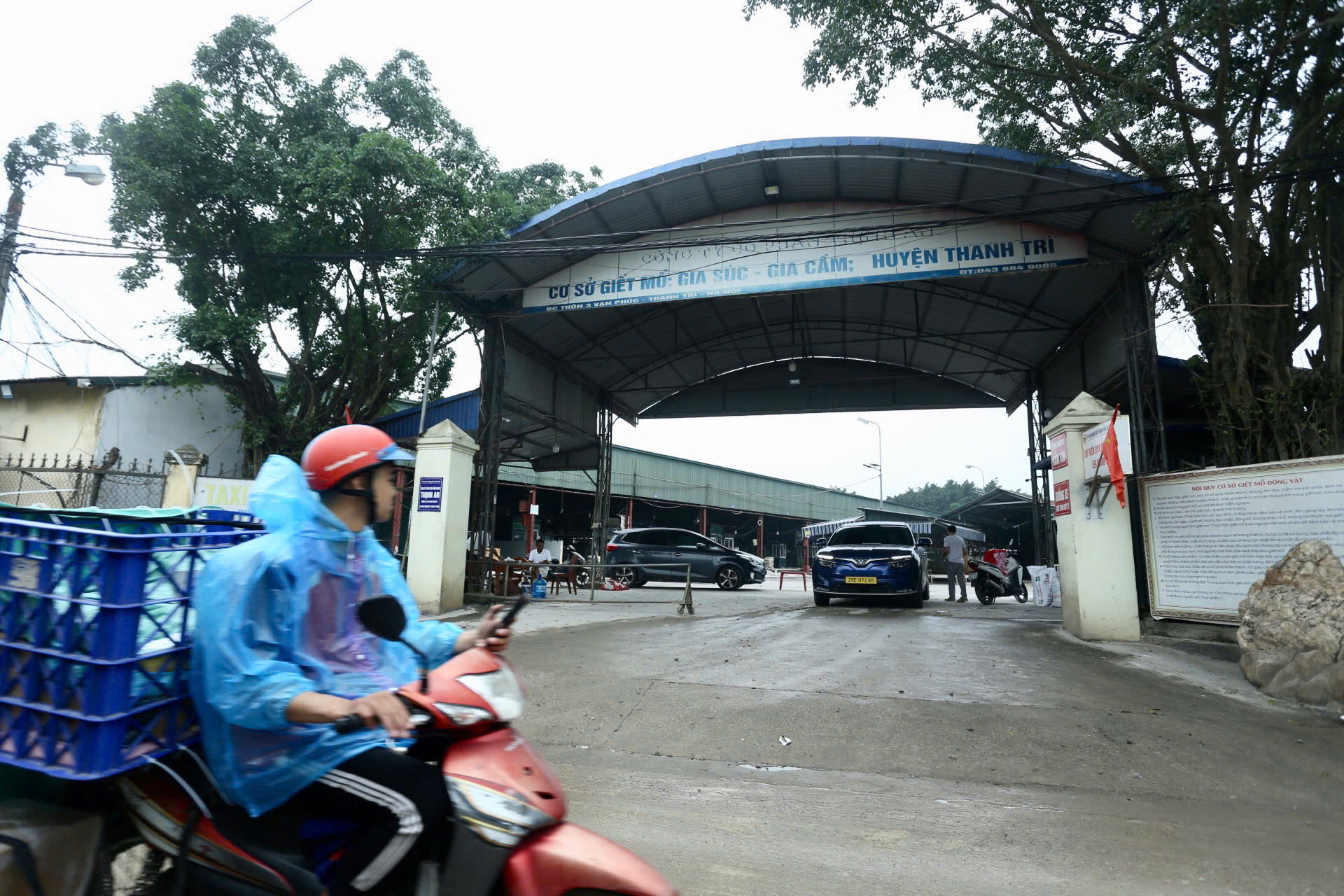 thịt heo - Ảnh 2.