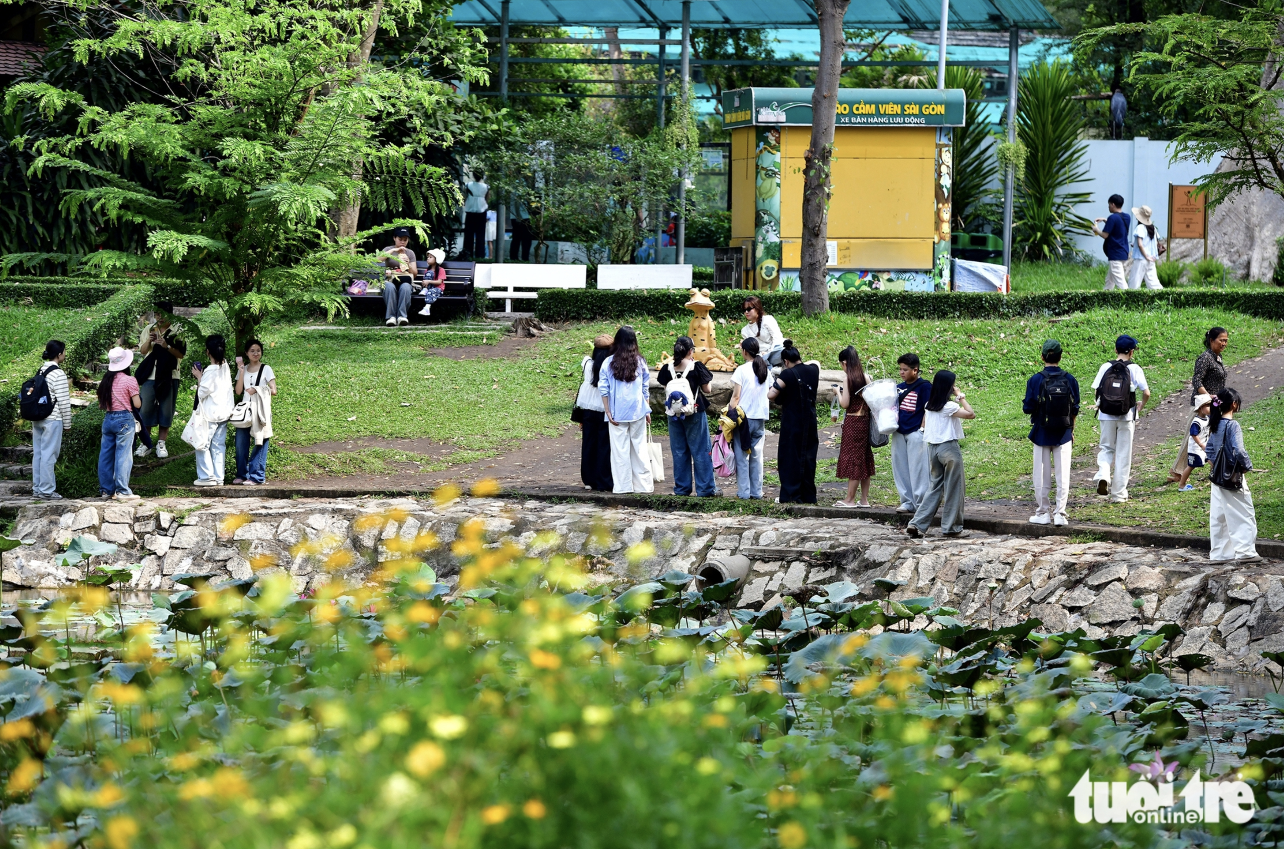 Meditating frog statue sparks viral photo trend at Ho Chi Minh City zoo - Ảnh 2.